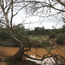 10 anys de la Cursa i Caminada de Masdenverge