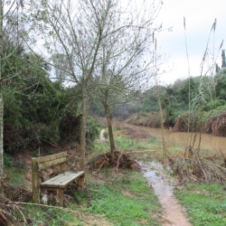 10 anys de la Cursa i Caminada de Masdenverge