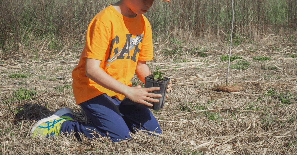 Fomentar la participaci en voluntariat ambiental a les escoles de la Ribera d’Ebre | EbreActiu.cat, revista digital d’oci actiu | Terres de l’Ebre ...