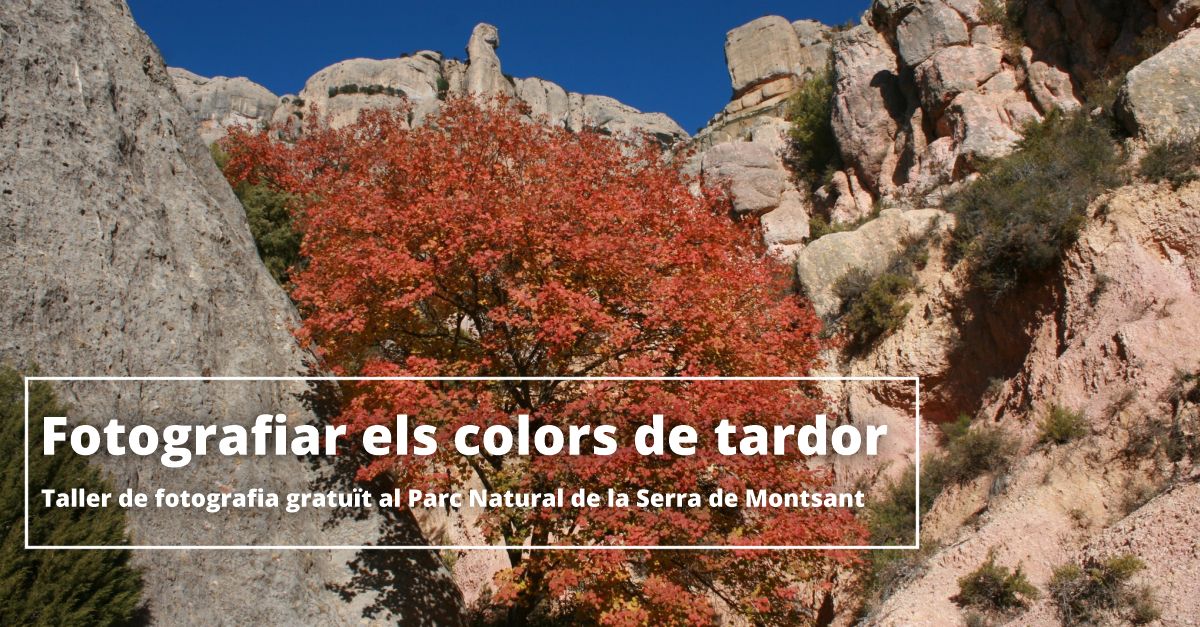 Fotografiar los colores del otoo. Taller de fotografa gratuito con Ferran Aguilar