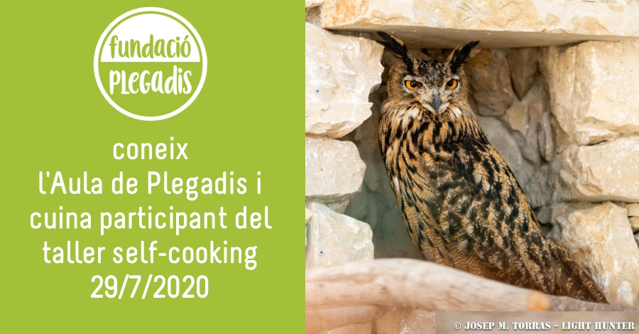 Coneix lAula de Plegadis i taller self-cooking