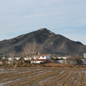 lbum: Amposta - Ullals de Baltasar