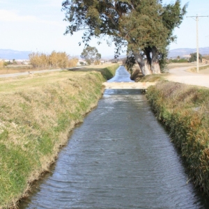 lbum: Amposta - Ullals de Baltasar