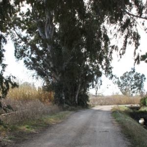 lbum: Amposta - Ullals de Baltasar