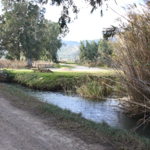 lbum: Amposta - Ullals de Baltasar