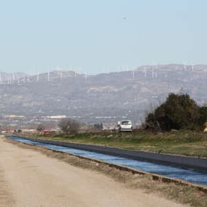 lbum: Amposta - Ullals de Baltasar