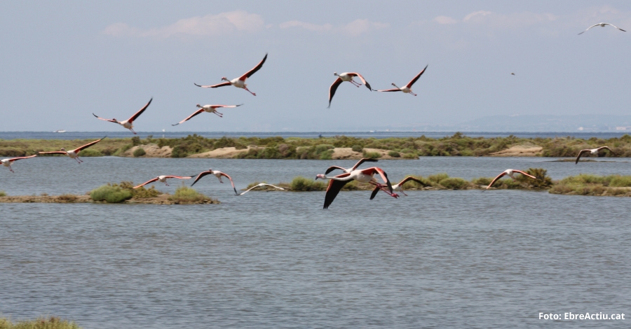 La Generalitat impulsa el turisme activo y de naturaleza | EbreActiu.cat, revista digital de ocio activo | Terres de l’Ebre...