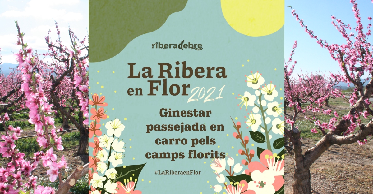 Ginestar, passejada en carro pels camps flortis #LaRiberaenFlor