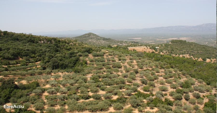 Godall | EbreActiu.cat, revista digital de ocio activo | Terres de l’Ebre...