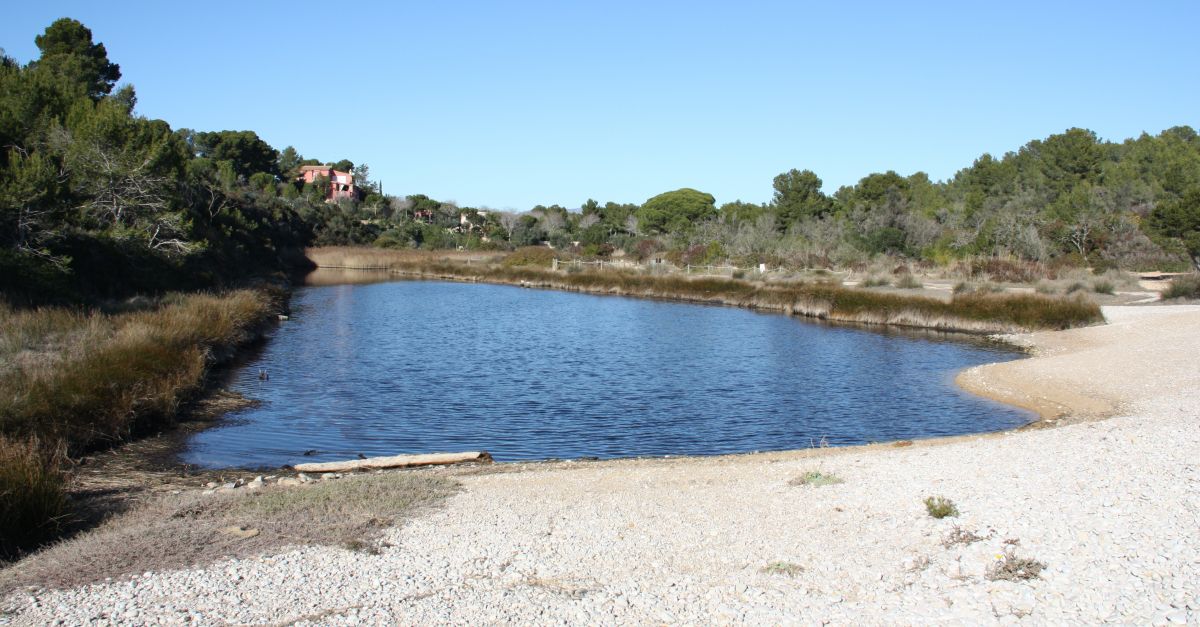 Grallsia continua amb el seu projecte de conservaci i divulgaci de lEIN Cap de Santes Creus