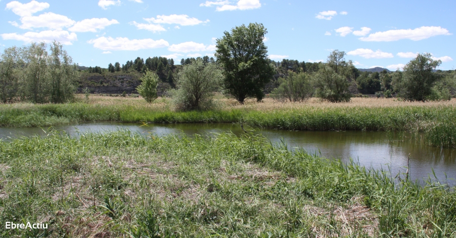 El Meandre de Flix i l’Illa del Galatxo de Mra la Nova seleccionades per al projecte Biotram | EbreActiu.cat, revista digital d’oci actiu | Terres de l’Ebre ...