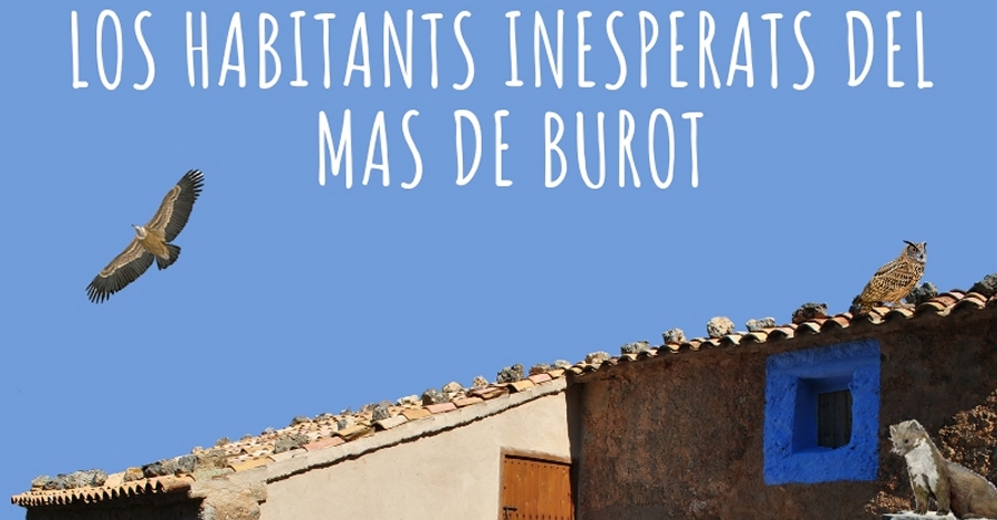 Los habitants inesperats del Mas de Burot