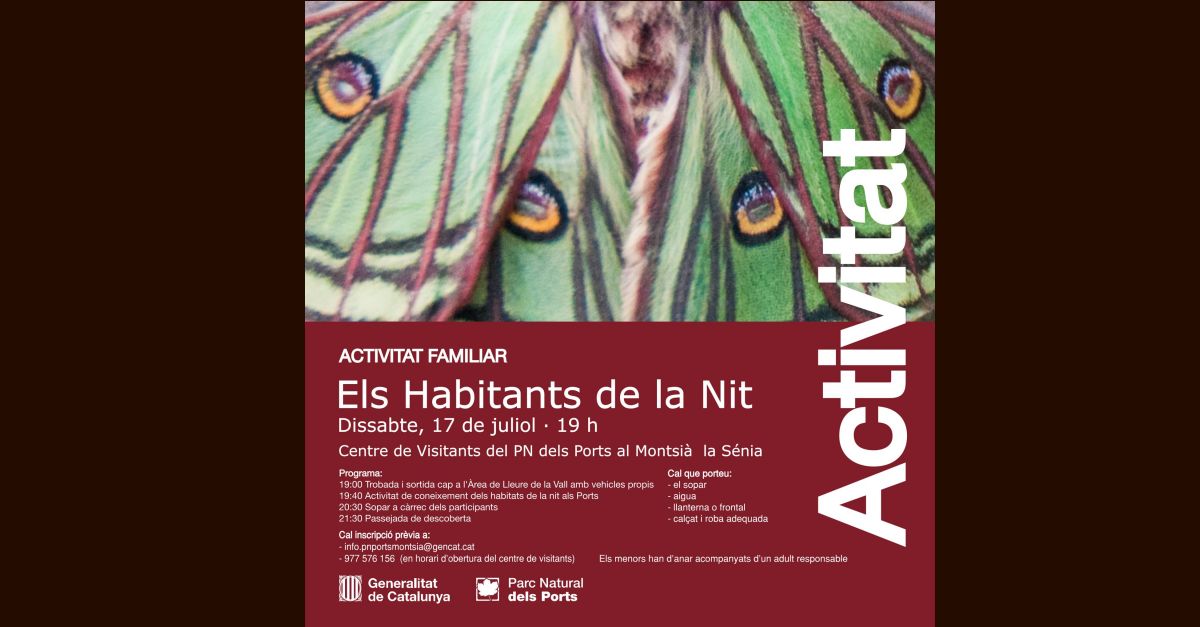 Actividad familiar: Los habitantes de la noche