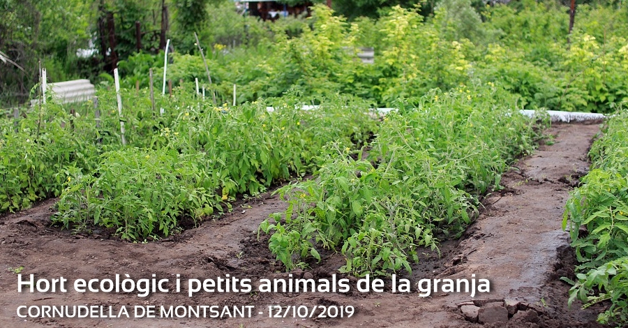 Hort ecolgic i petits animals de la granja