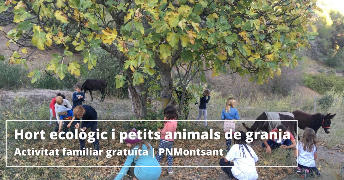 Hort ecolgic i petits animals de granja