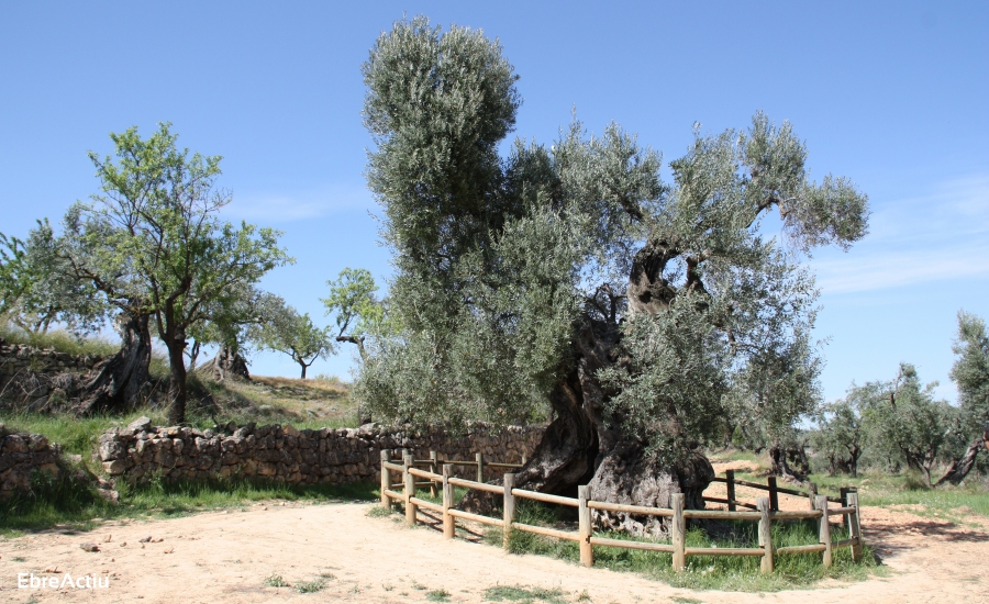 Horta de Sant Joan | EbreActiu.cat, revista digital d’oci actiu | Terres de l’Ebre ...