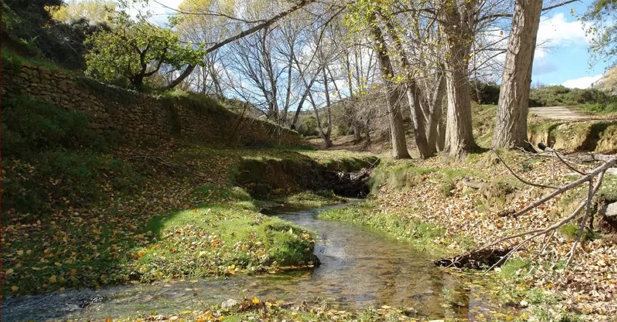 El territorio Human Land, donde el agua y la vida brotan | EbreActiu.cat, revista digital de ocio activo | Terres de l’Ebre...