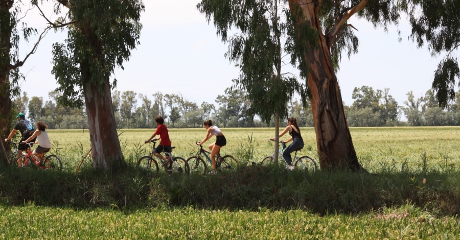 Buda & Bike, l’Illa de Buda a cop de pedal | EbreActiu.cat, revista digital d’oci actiu | Terres de l’Ebre ...