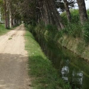 lbum: isla de Buda (delta del Ebro)