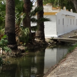 lbum: isla de Buda (delta del Ebro)