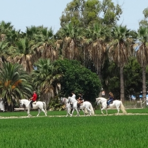 lbum: isla de Buda (delta del Ebro)