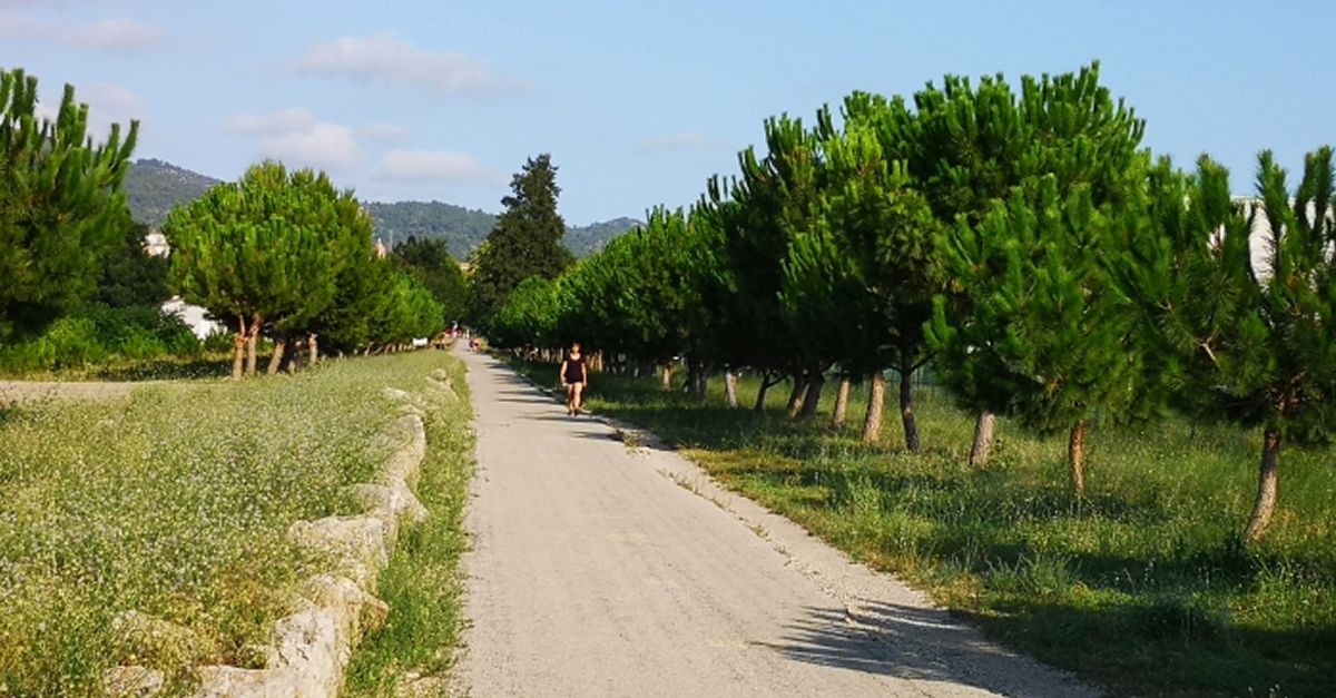 S’installar enllumenat a la Via Verda entre Tortosa i Roquetes | EbreActiu.cat, revista digital d’oci actiu | Terres de l’Ebre ...