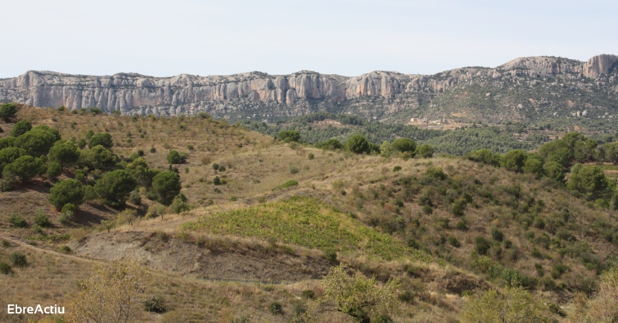 Les visites al Parc Natural de Montsant generen un impacte econmic directe a la zona de 4 M/ el 2019 | EbreActiu.cat, revista digital d’oci actiu | Terres de l’Ebre ...