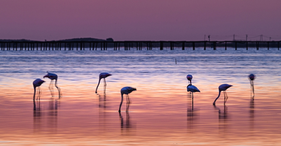 Inauguraci de l’exposici fotogrfica Lo Delta 4.30 | EbreActiu.cat, revista digital d’oci actiu | Terres de l’Ebre ...