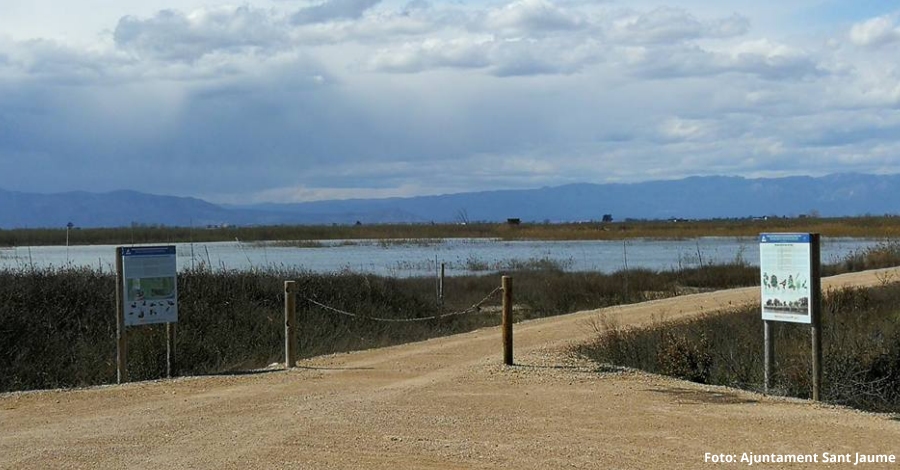 La finca del Viol torna a ser una zona humida | EbreActiu.cat, revista digital d’oci actiu | Terres de l’Ebre ...