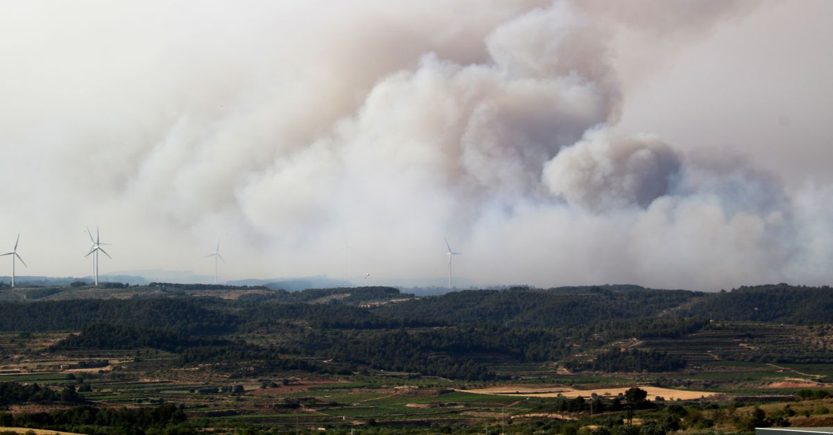 L’incendi de Corbera d’Ebre afecta unes 300 hectrees amb un potencial de 8.000, segons els Bombers | EbreActiu.cat, revista digital d’oci actiu | Terres de l’Ebre ...