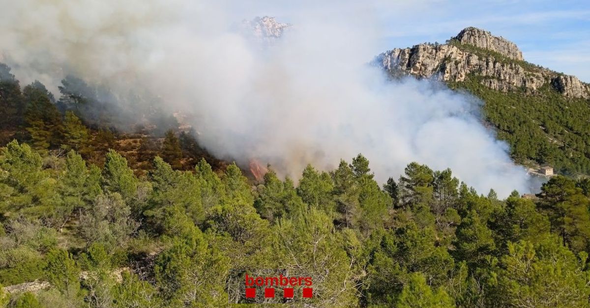 21 dotacions dels Bombers treballen per apagar un foc envoltat de camps entre Xerta i Pals | EbreActiu.cat, revista digital d’oci actiu | Terres de l’Ebre ...