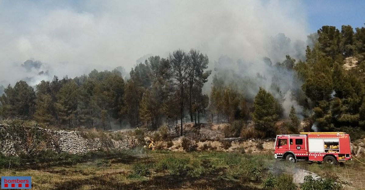 Una vintena de dotacions dels Bombers treballen en l’extinci d’un incendi de vegetaci a Miravet | EbreActiu.cat, revista digital d’oci actiu | Terres de l’Ebre ...