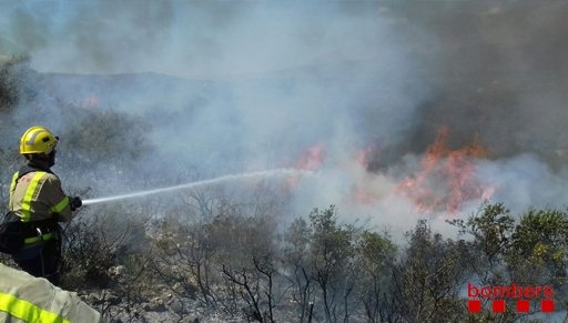 Un incendi crema 1,5 Ha al Montsianell (Amposta) | EbreActiu.cat, revista digital d’oci actiu | Terres de l’Ebre ...