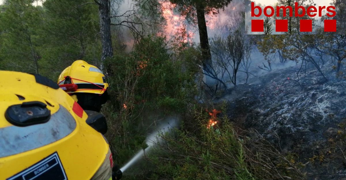 L’incendi de Mra d’Ebre crema 4 hectrees de terreny forestal dins l’espai protegit de les serres de Pndols i Cavalls | EbreActiu.cat, revista digital d’oci actiu | Terres de l’Ebre ...