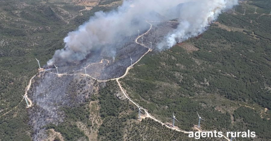 L’incendi del Perell ja afecta 100 Ha de vegetaci forestal | EbreActiu.cat, revista digital d’oci actiu | Terres de l’Ebre ...