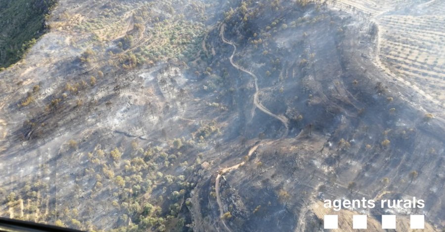 Els Bombers han treballat durant la nit amb 80 dotacions terrestres en l’incendi de la Ribera d’Ebre | EbreActiu.cat, revista digital d’oci actiu | Terres de l’Ebre ...