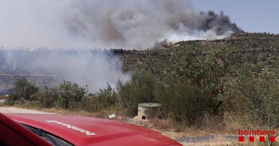 Declarat un incendi entre la Torre de l’Espanyol i Vinebre | EbreActiu.cat, revista digital d’oci actiu | Terres de l’Ebre ...