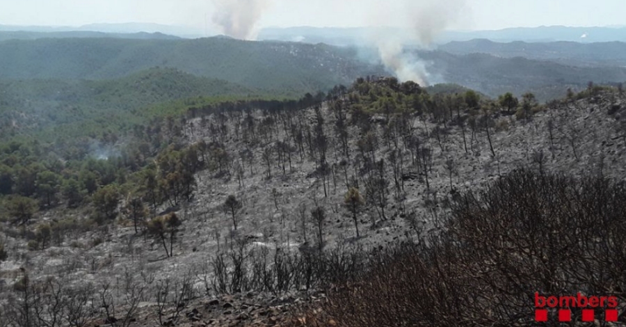 90 dotacions terrestres i 11 mitjans aeris traballen en l’incendi forestal de la Ribera d’Ebre | EbreActiu.cat, revista digital d’oci actiu | Terres de l’Ebre ...