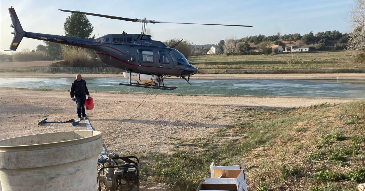 El COPATE inicia el tractament de mosca negra reclamant un major finanament | EbreActiu.cat, revista digital d’oci actiu | Terres de l’Ebre ...