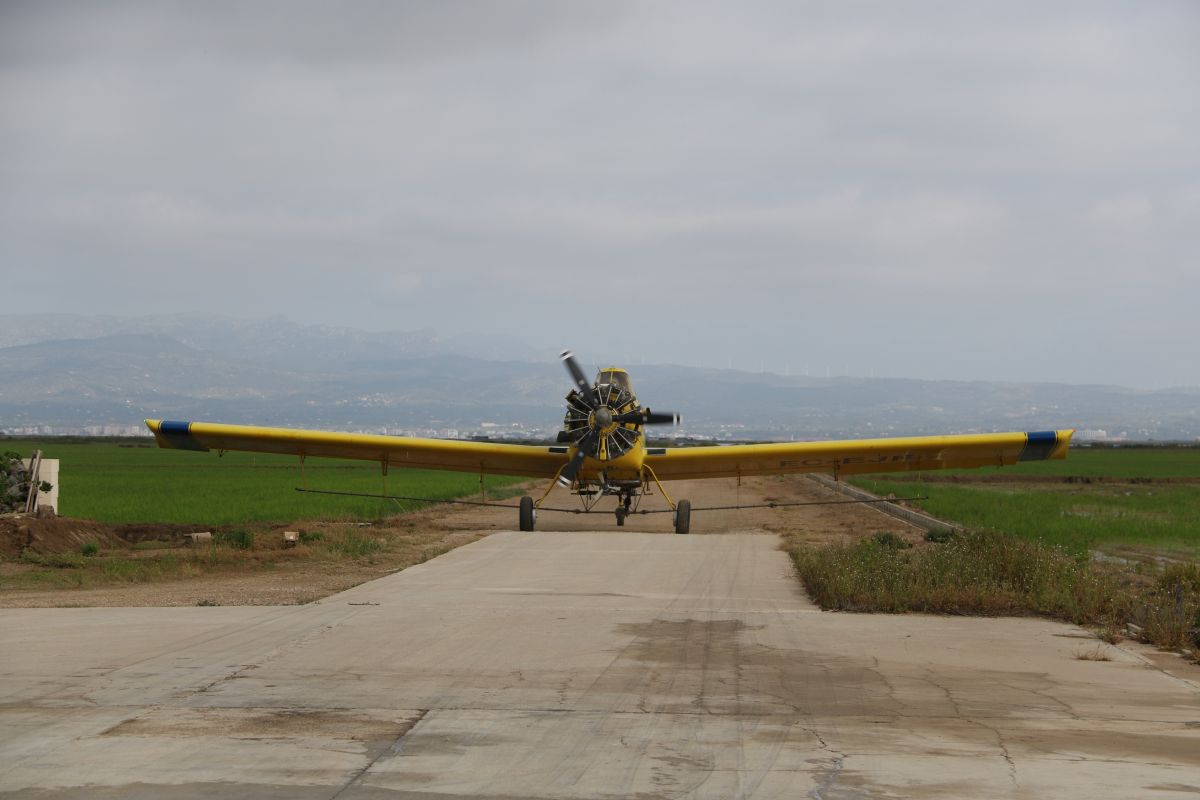 COPATE enceta la campanya contra el mosquit als arrossars del Delta amb un pressupost d’1,04 MEUR | EbreActiu.cat, revista digital d’oci actiu | Terres de l’Ebre ...