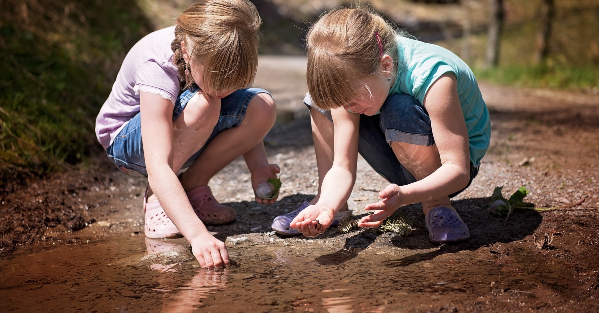 S’inicia planificaci estratgica de l’educaci i el voluntariat ambiental al Parc Natural dels Ports | EbreActiu.cat, revista digital d’oci actiu | Terres de l’Ebre ...