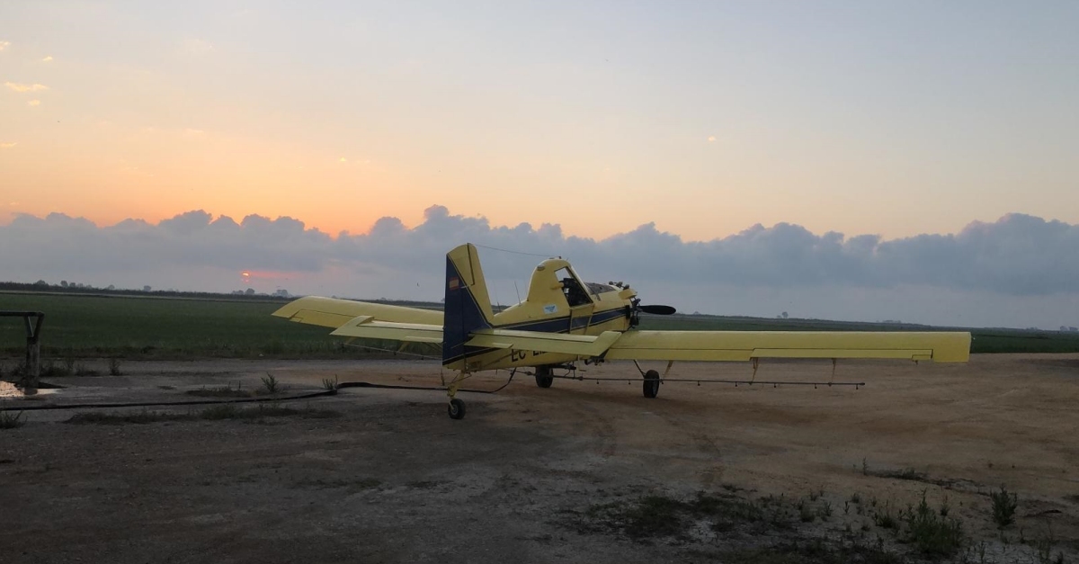 Comencen els tractaments en contra dels mosquits dels arrossars prxims als nuclis habitats del delta de l’Ebre | EbreActiu.cat, revista digital d’oci actiu | Terres de l’Ebre ...