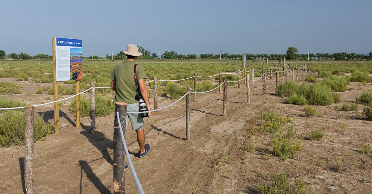 El Parc Natural del Delta de l’Ebre posa en marxa un nou itinerari interpretatiu sobre els valors del sosar | EbreActiu.cat, revista digital d’oci actiu | Terres de l’Ebre ...