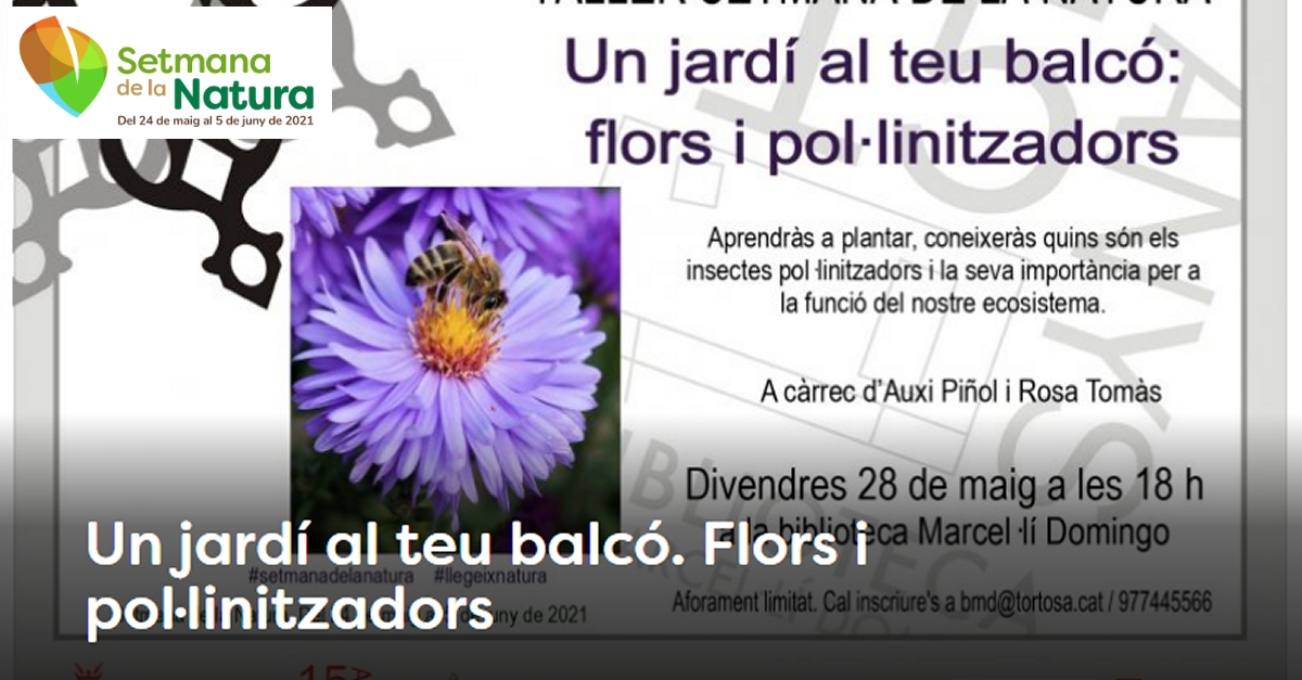 Setmana de la Natura: Un jard al teu balc. Flors i pollinitzadors