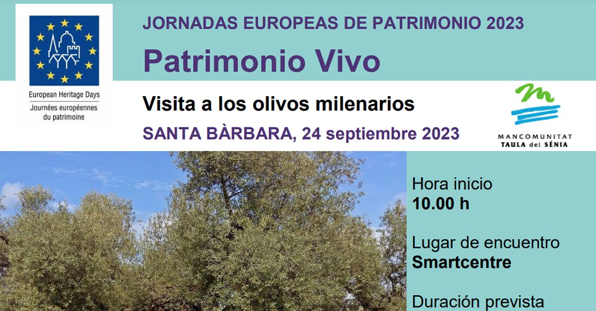 JEP23 Visita a les oliveres millenries