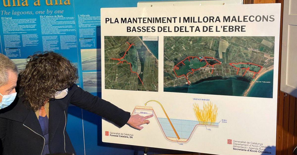 La consellera Jord anuncia un pla de refor de la protecci de les basses del Delta de l’Ebre | EbreActiu.cat, revista digital d’oci actiu | Terres de l’Ebre ...