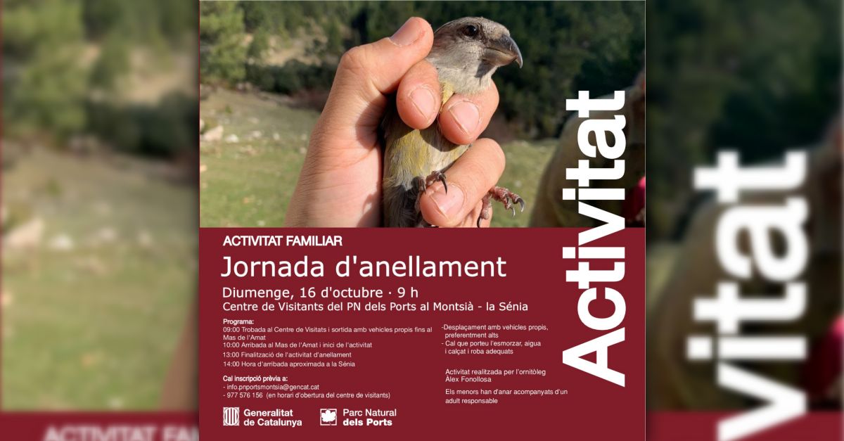 Jornada danellament 