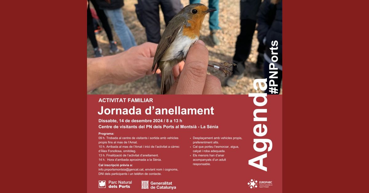 Jornada danellament