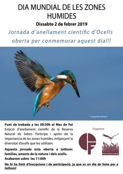 Jornada danellament cientfic docells a la Reserva Natural de Sebes