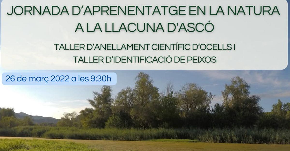 Jornada daprenentatge en la natura a la llacuna dAsc